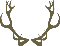 antlers